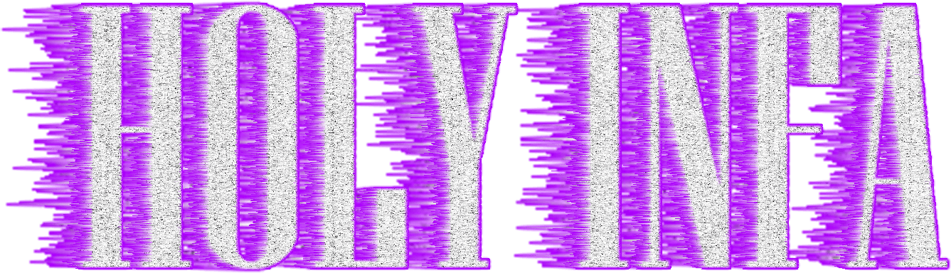 holy infa text logo